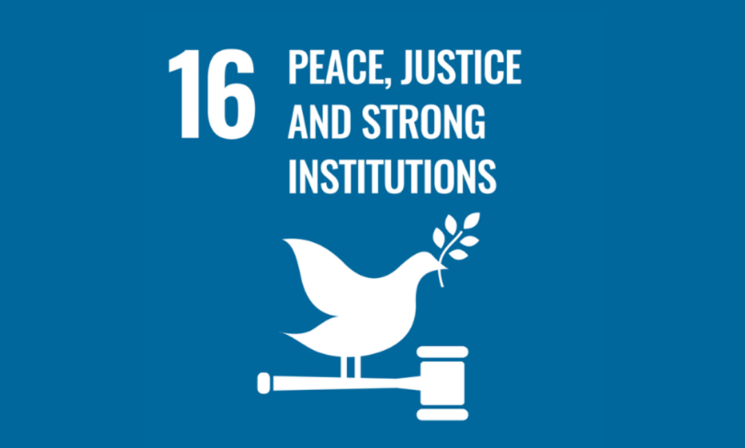 Sustainability 35  Building Trusted, Transparent & Fair